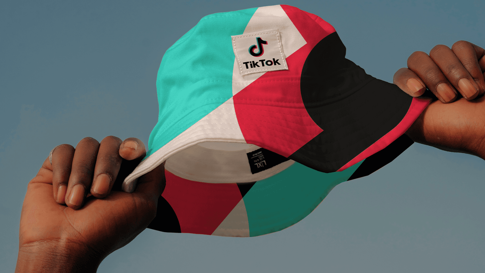 TikTok global brand refresh system application.